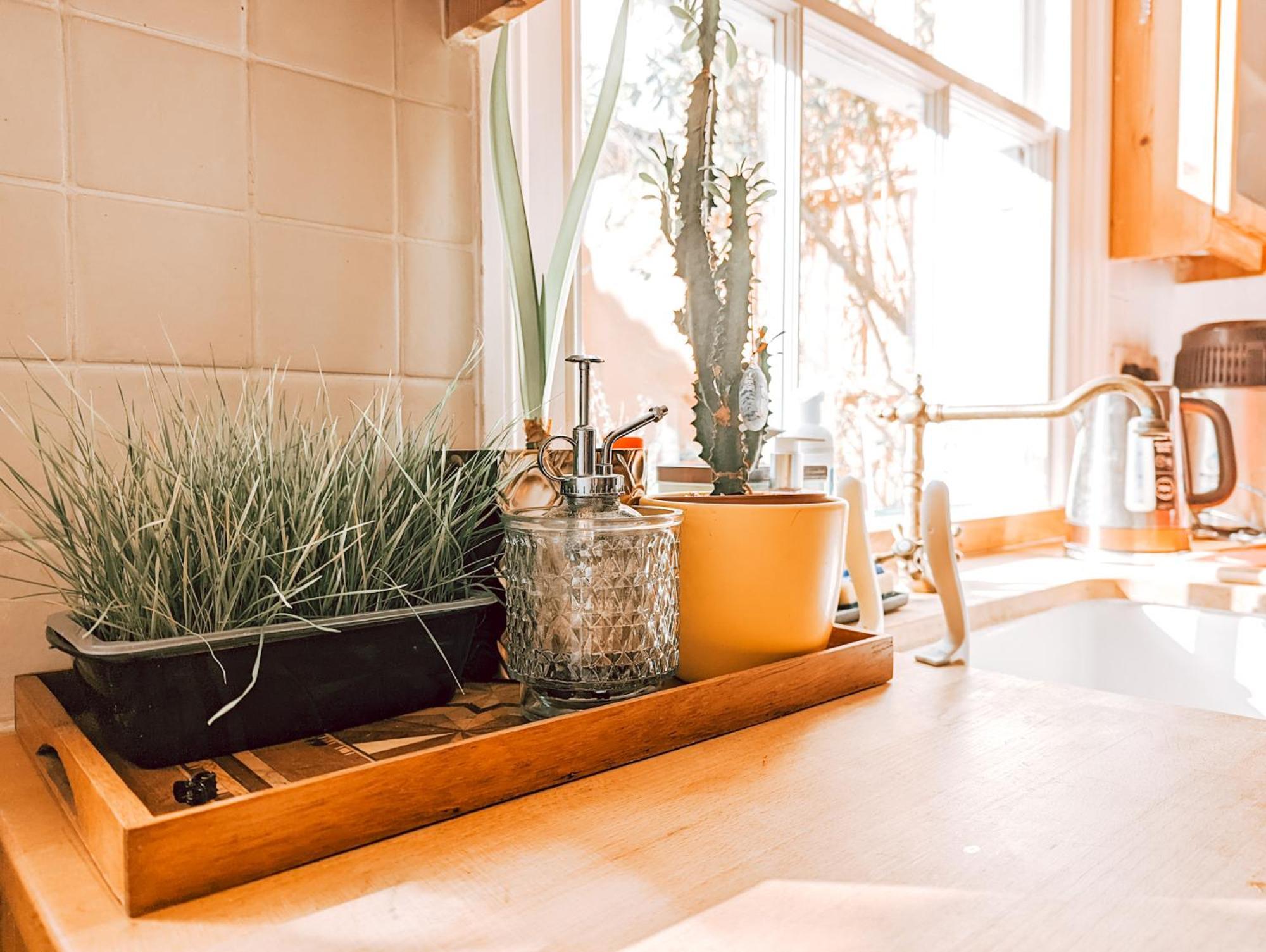 The Clapham Apartment With Private Patio London Kültér fotó